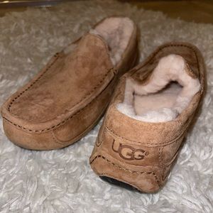 Chestnut Ugg Slippers